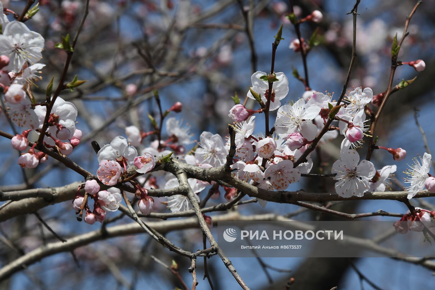 Весна во Владивостоке