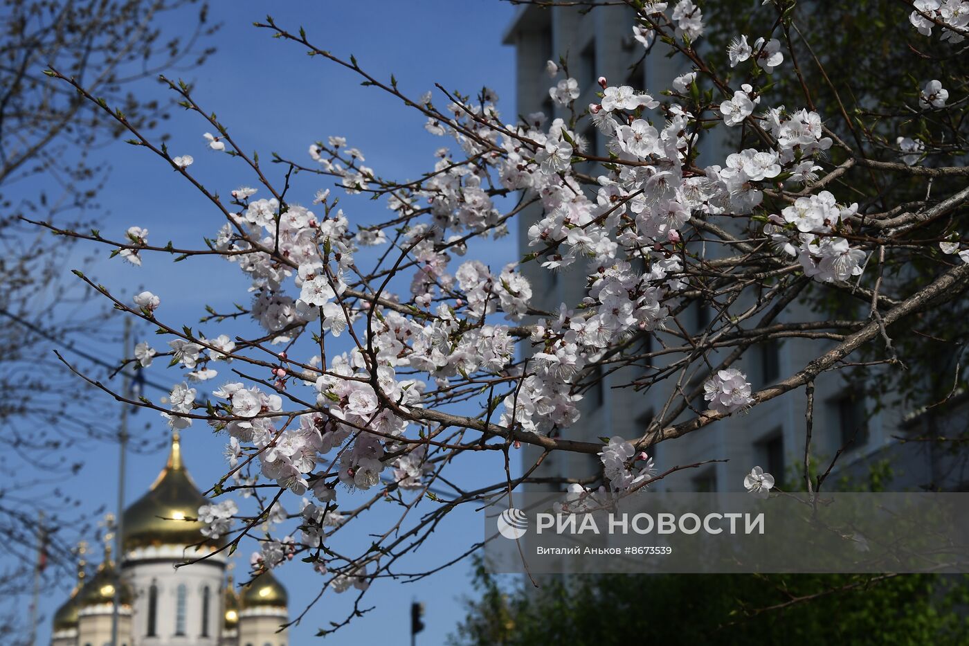 Весна во Владивостоке