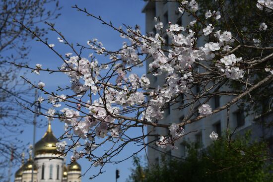 Весна во Владивостоке