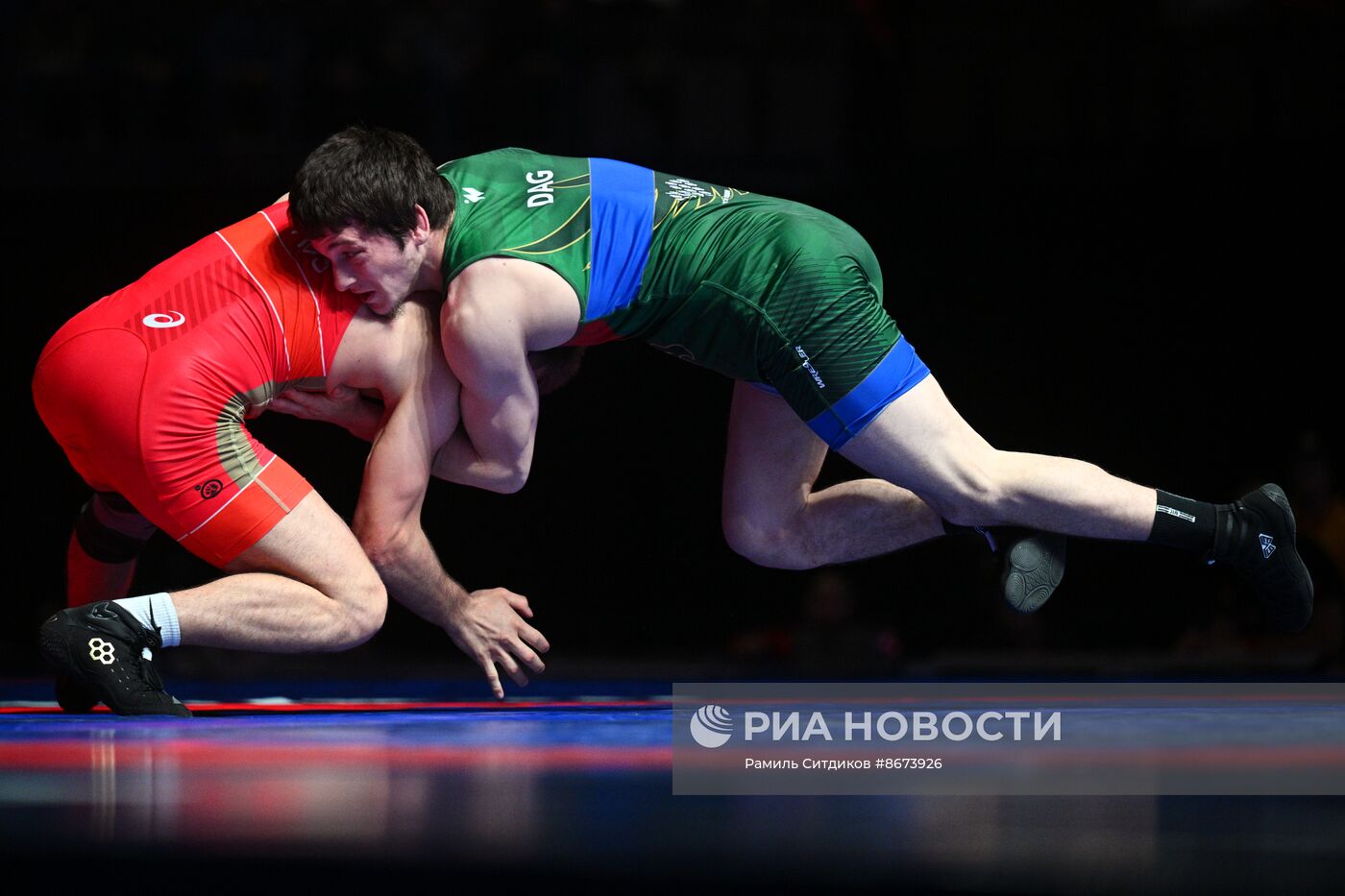 Предолимпийский чемпионат России по вольной борьбе-2024