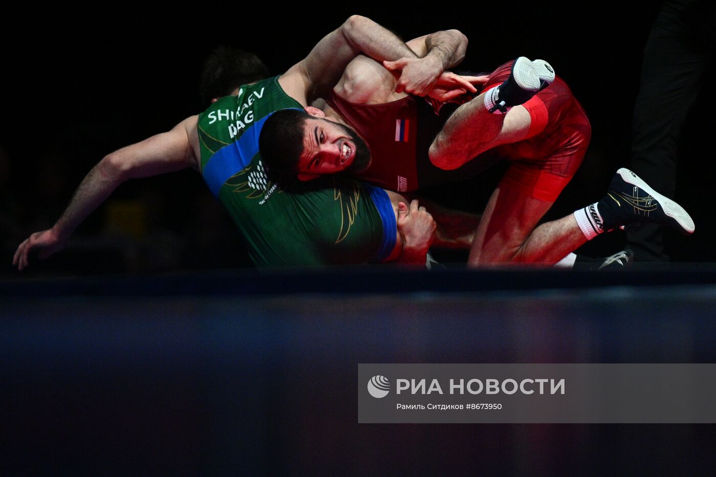 Предолимпийский чемпионат России по вольной борьбе-2024