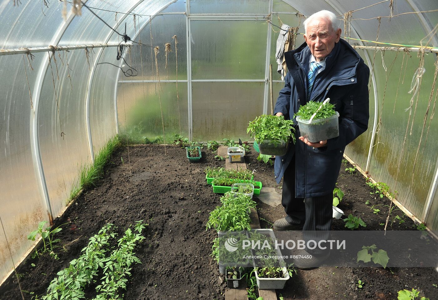 Ветеран Великой Отечественной войны С. Жмылев | РИА Новости Медиабанк