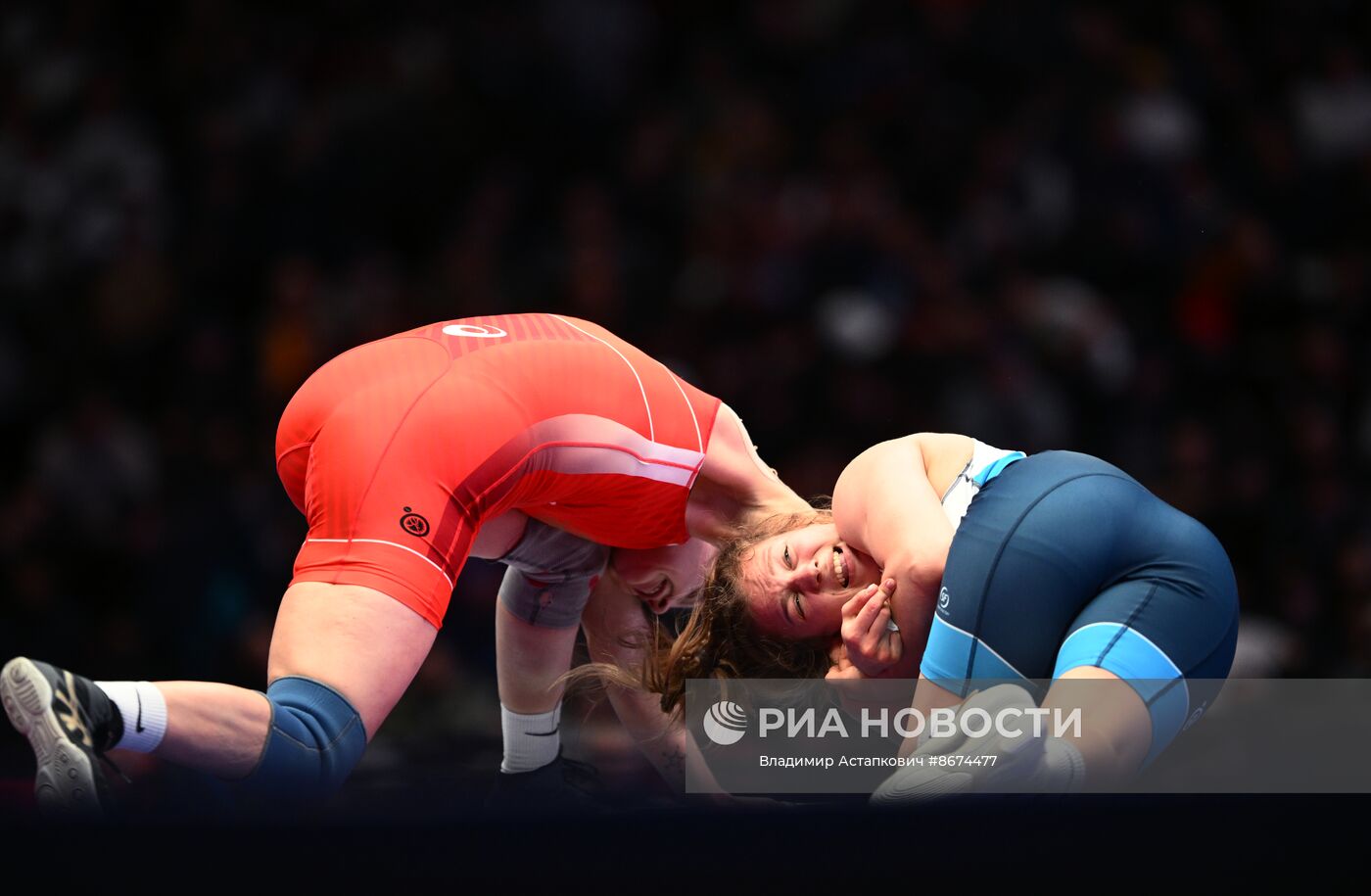 Предолимпийский чемпионат России по вольной борьбе 2024