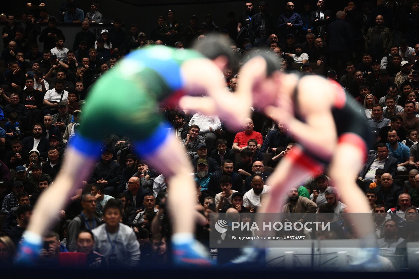 Предолимпийский чемпионат России по вольной борьбе 2024