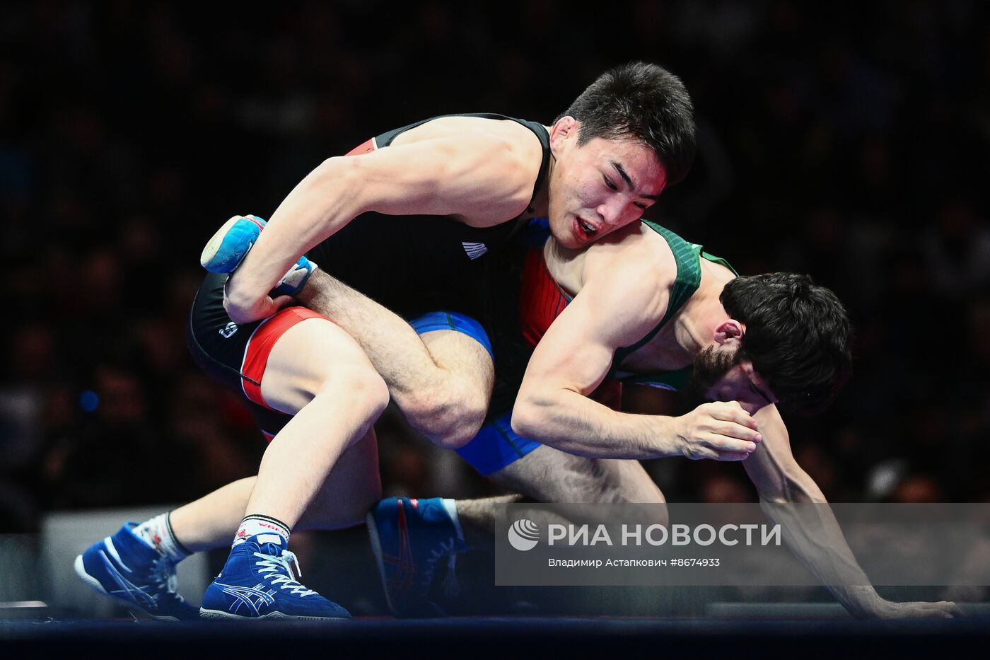 Предолимпийский чемпионат России по вольной борьбе 2024