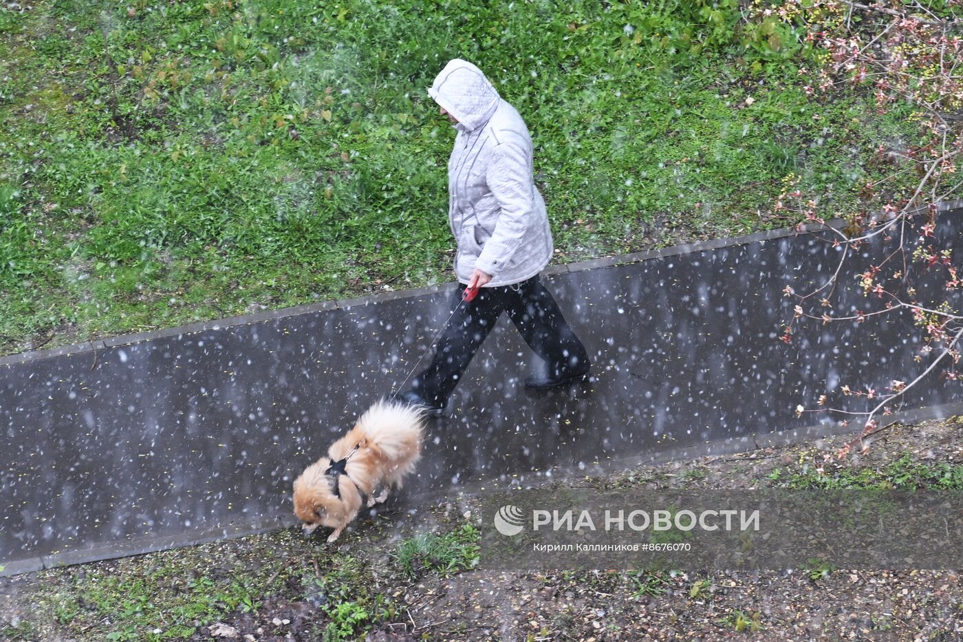 Снег в Москве