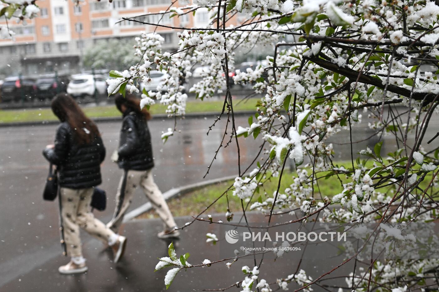 Снег в Москве