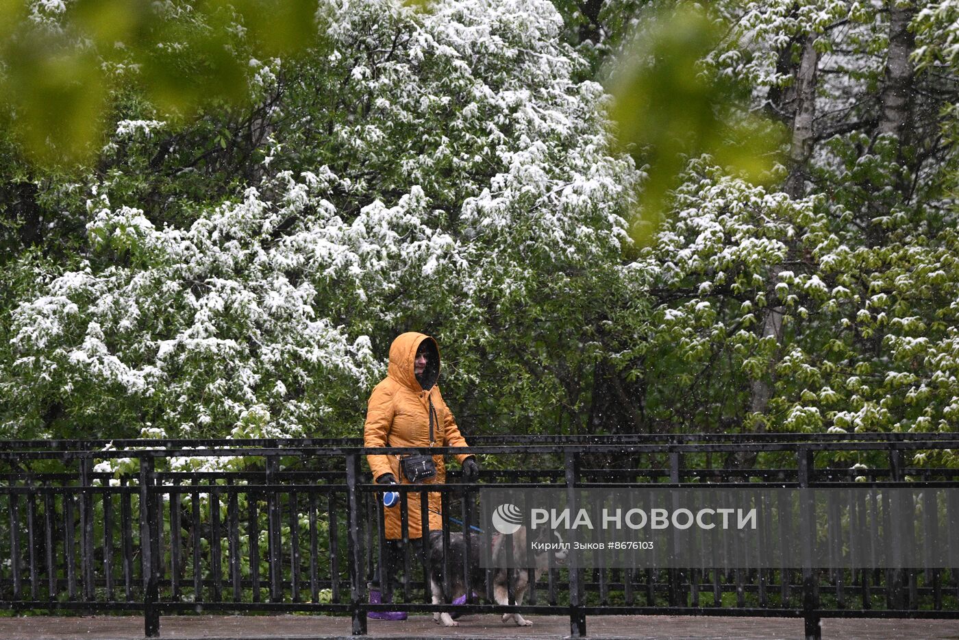 Снег в Москве