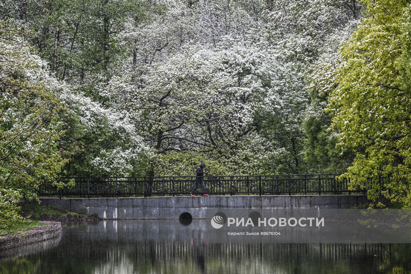 Снег в Москве