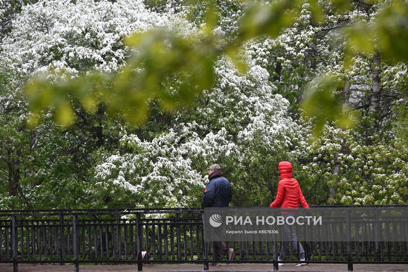 Снег в Москве