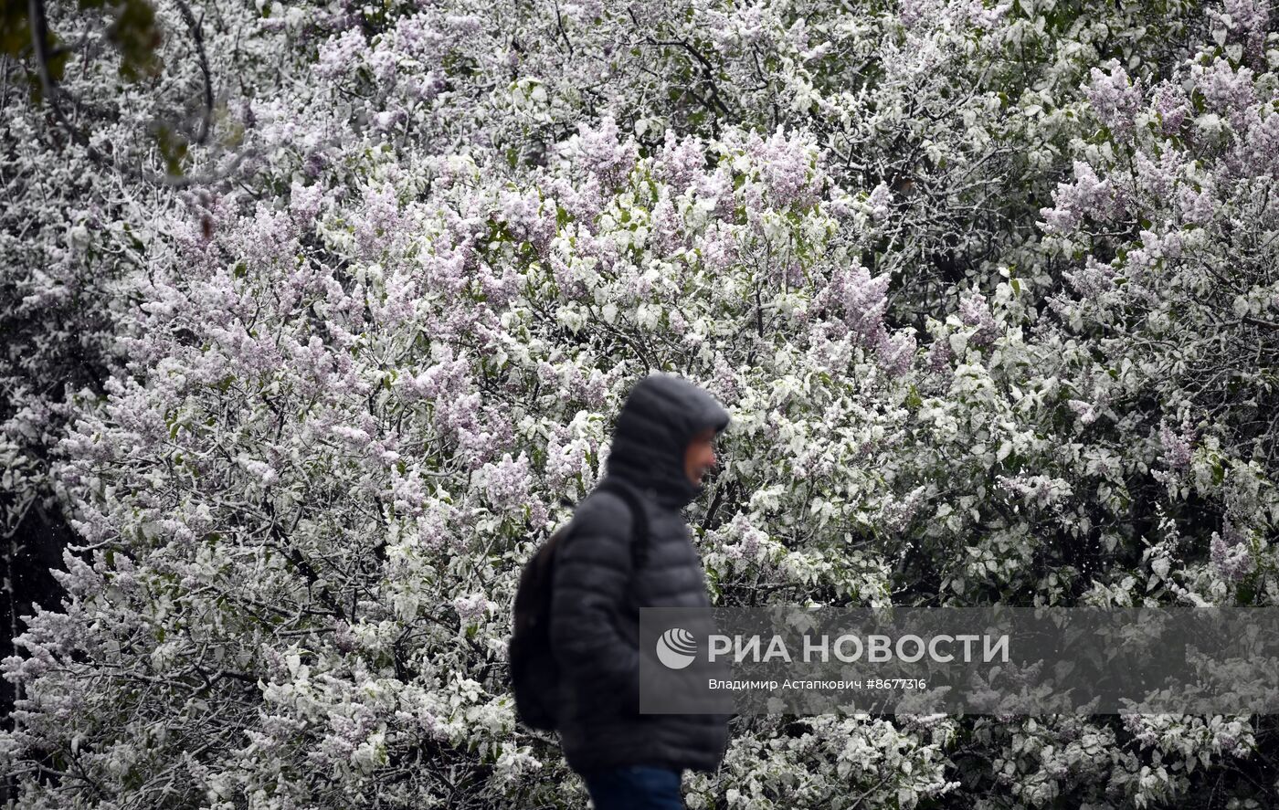 Снег в Москве