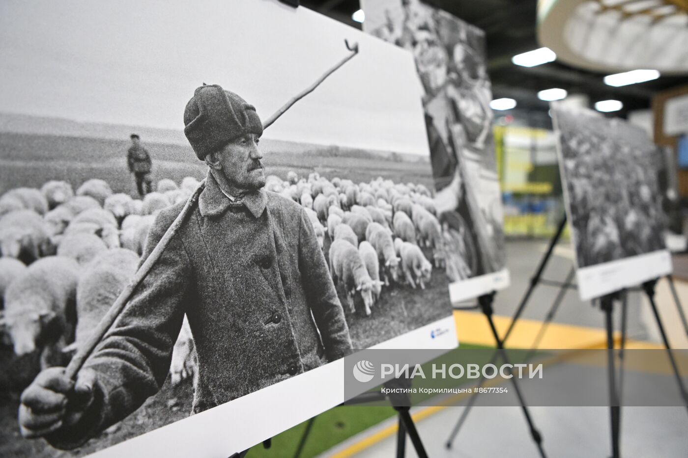 Открытие фотовыставки проекта "Освобождение. Путь к Победе. Тыл"