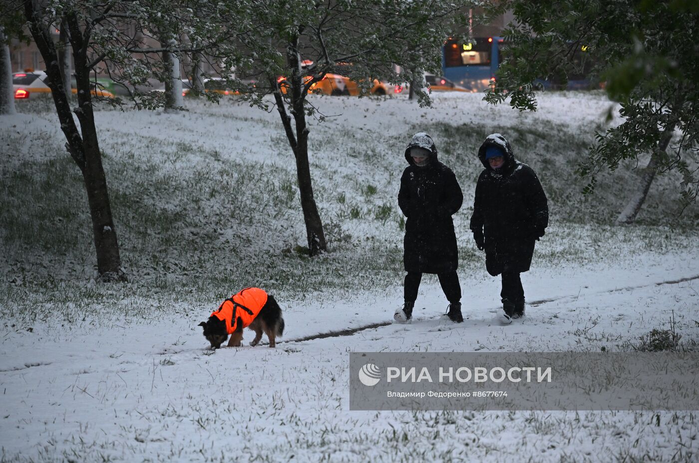 Снег в Москве