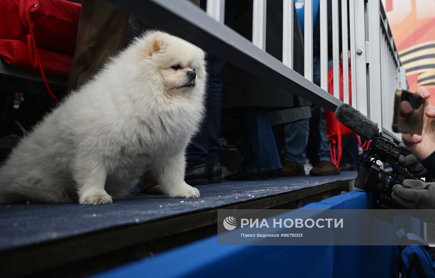 Военный парад, посвященный 79-й годовщине Победы в Великой Отечественной войне