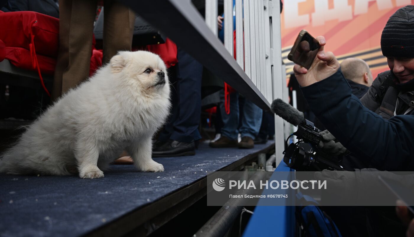 Президент Владимир Путин принял участие в параде Победы в Москве