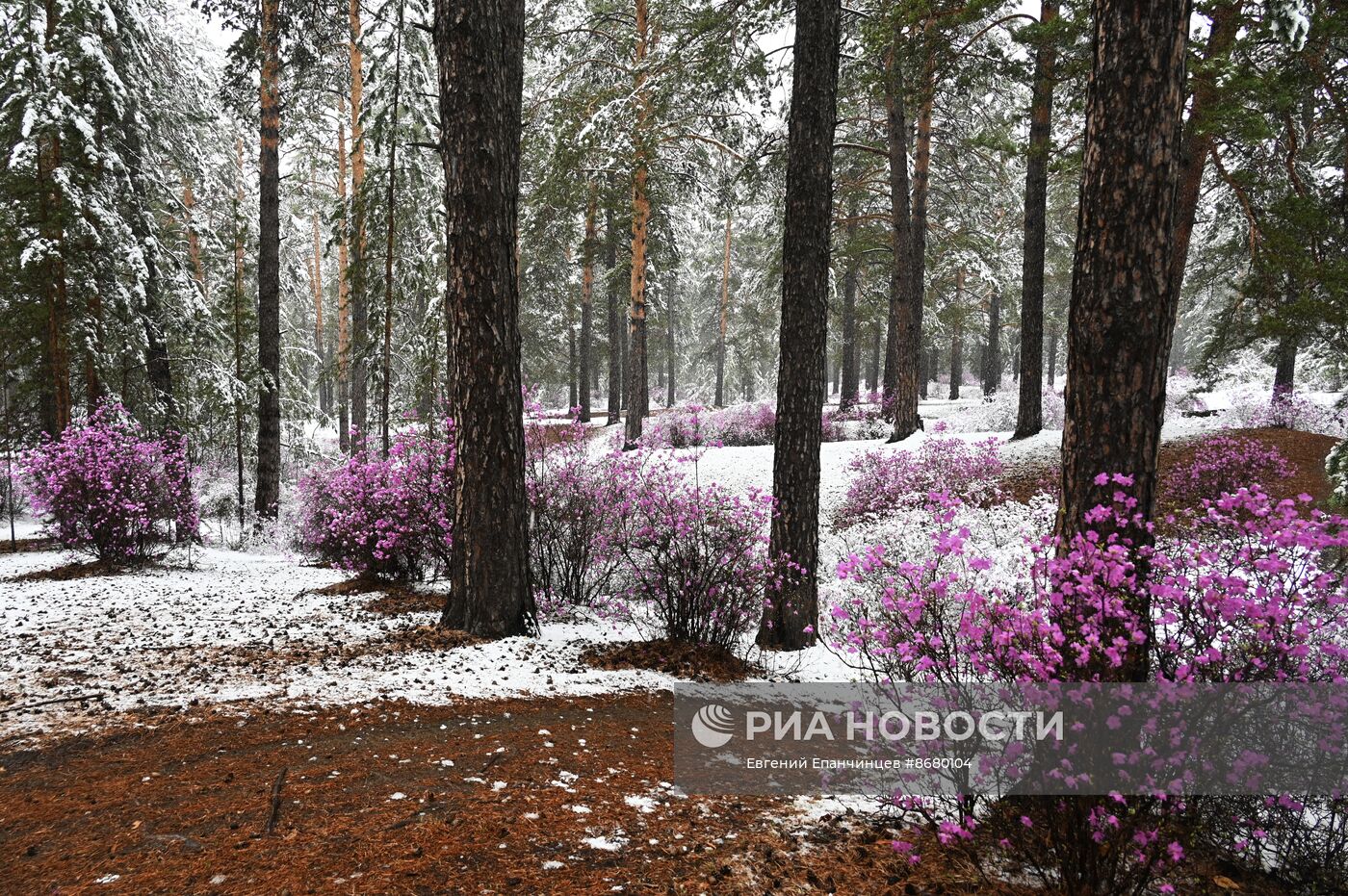 Снег в Забайкалье