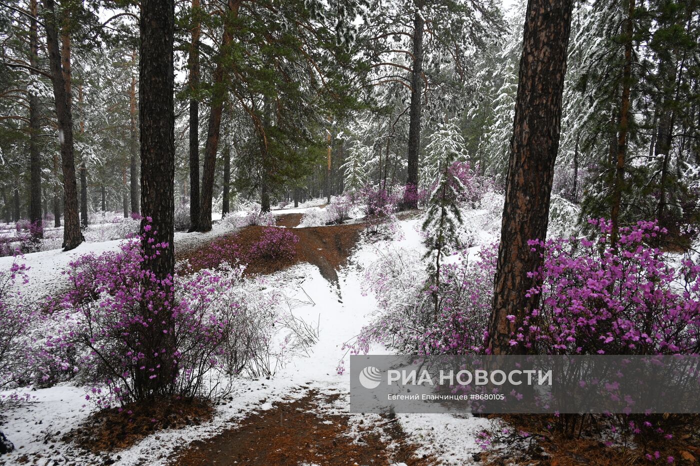 Снег в Забайкалье