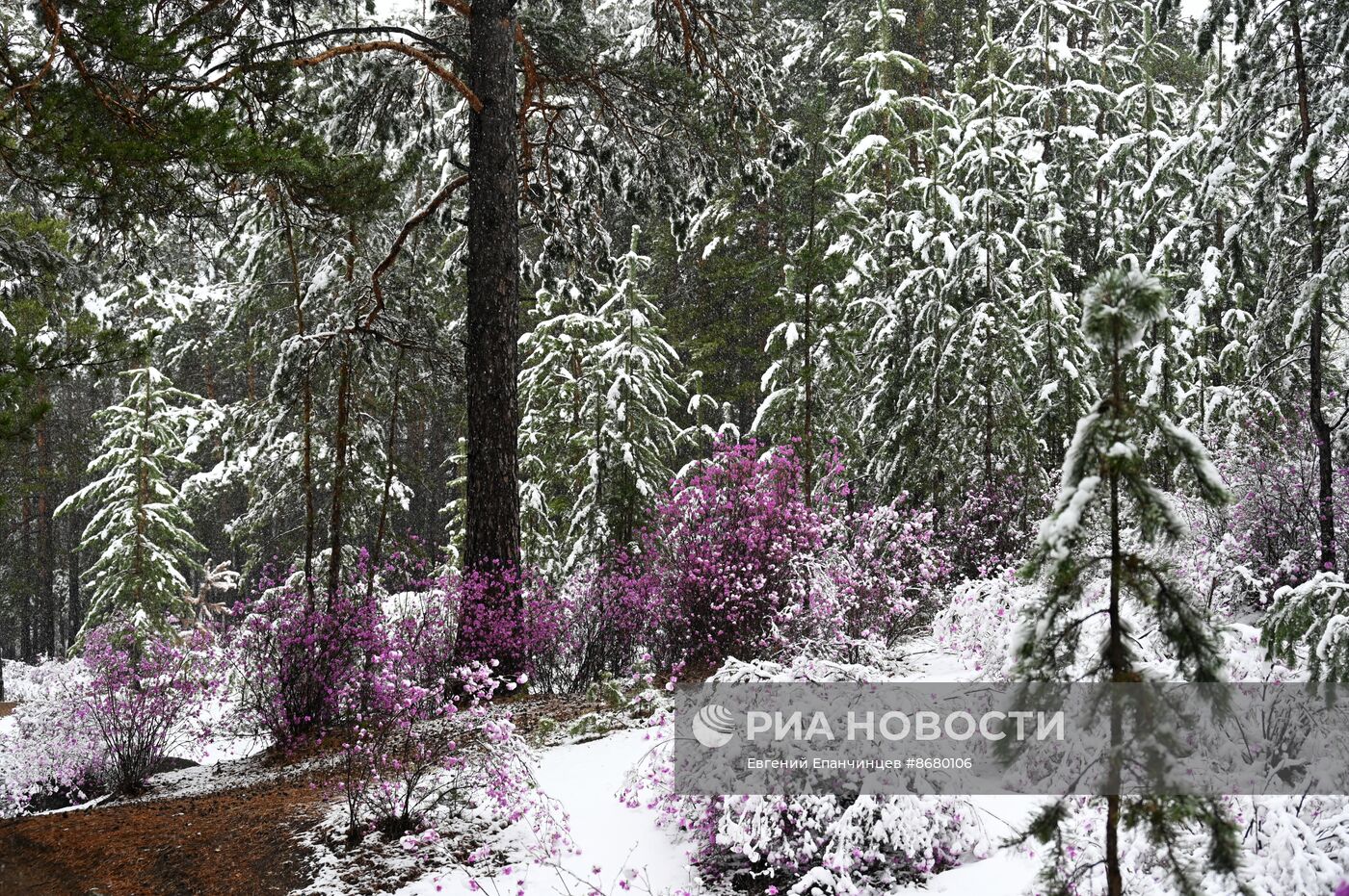 Снег в Забайкалье