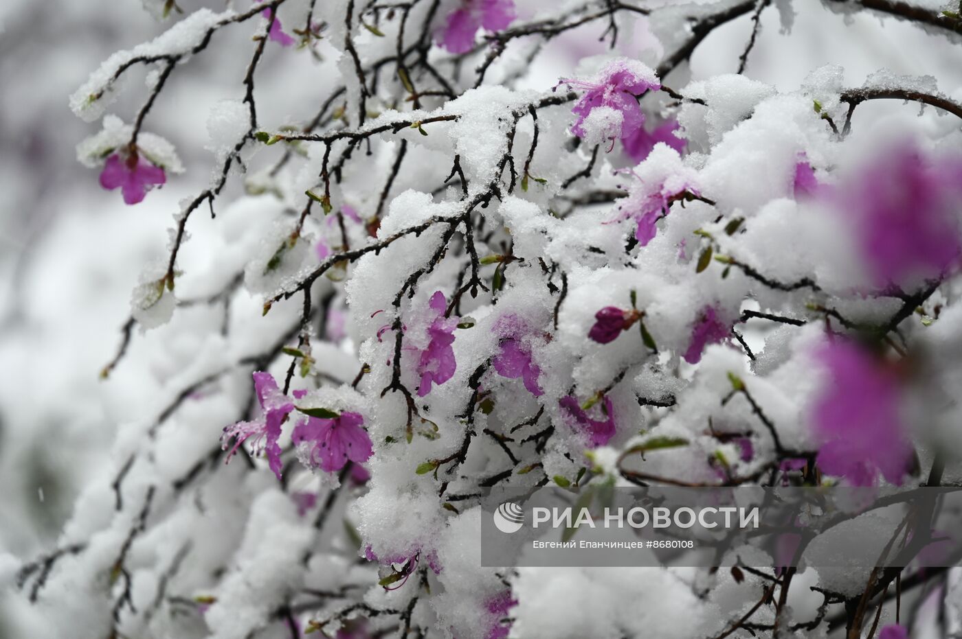 Снег в Забайкалье