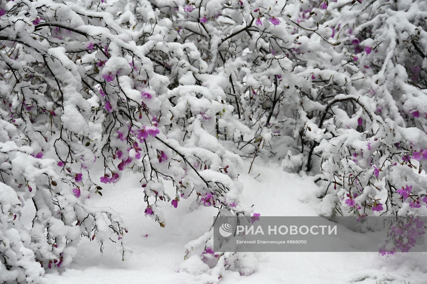 Снег в Забайкалье