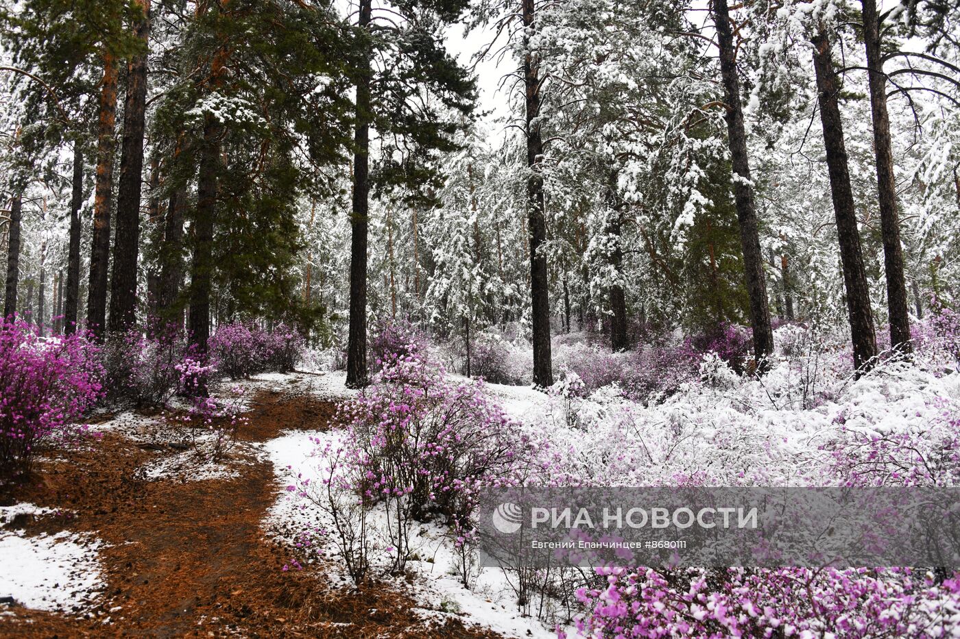 Снег в Забайкалье