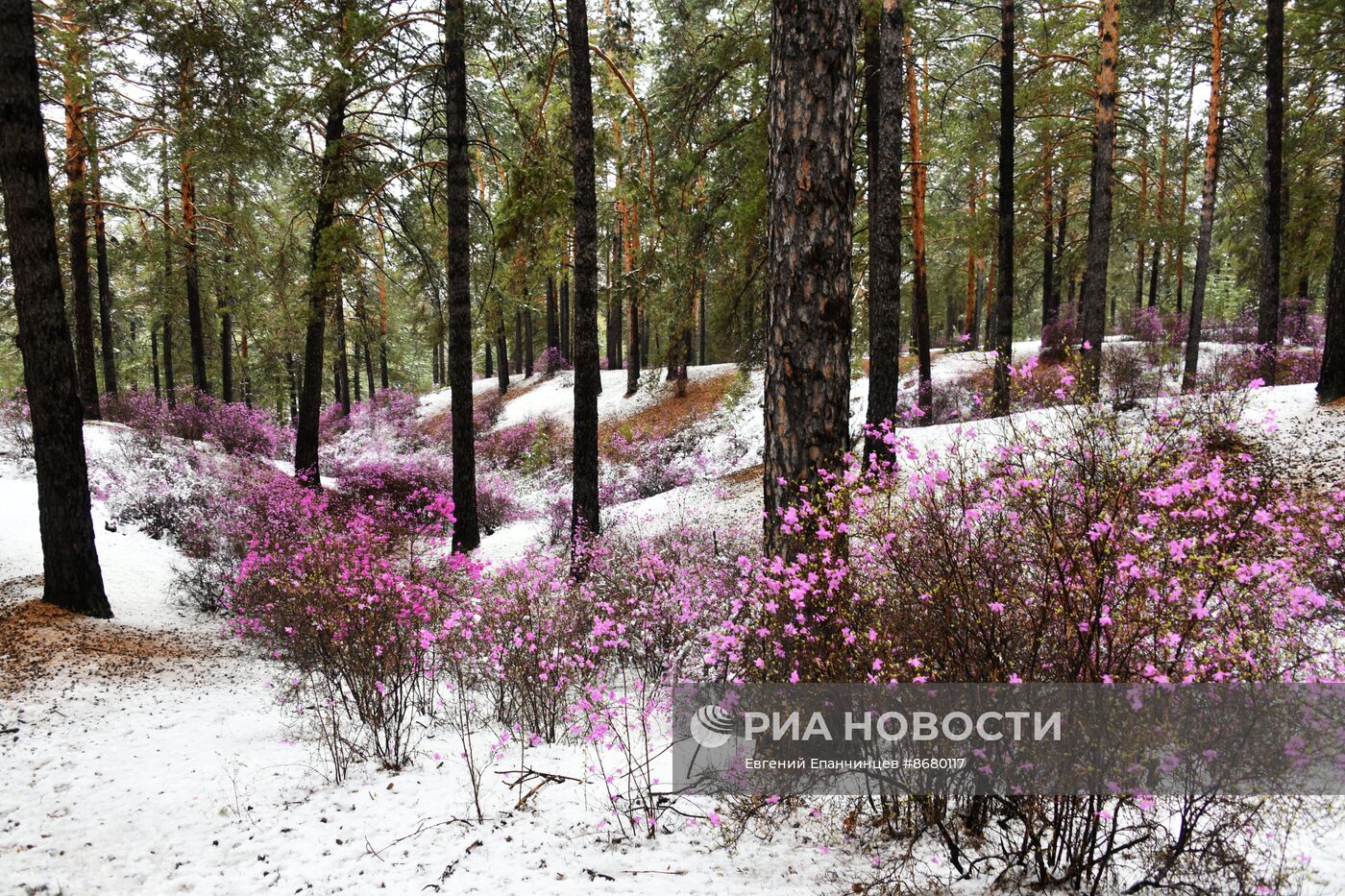 Снег в Забайкалье