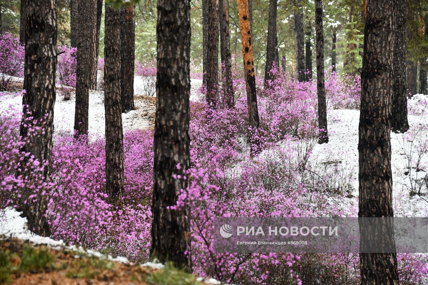 Снег в Забайкалье