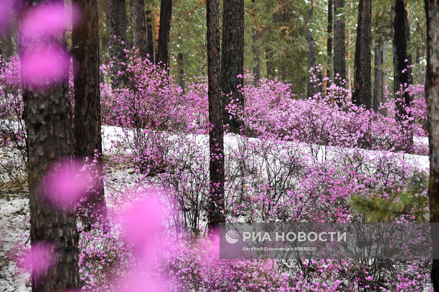 Снег в Забайкалье