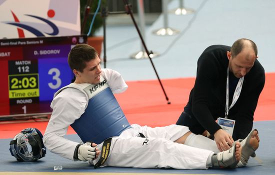 Чемпионат Европы по тхэквондо