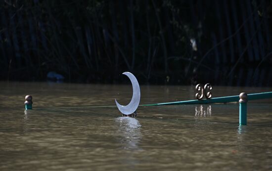 Паводок в деревне Ашеваны Омской области