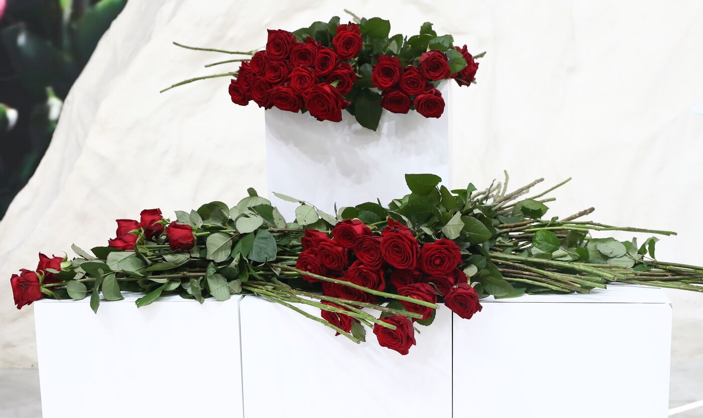 Выставка "Россия". Стенд Белгородской области