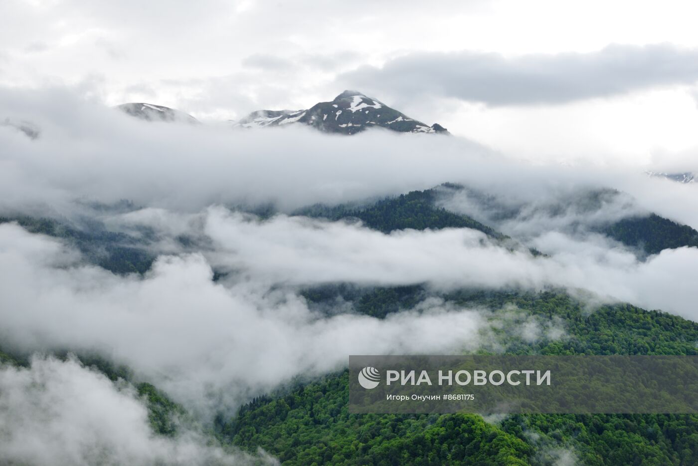 100-летие Кавказского государственного заповедника