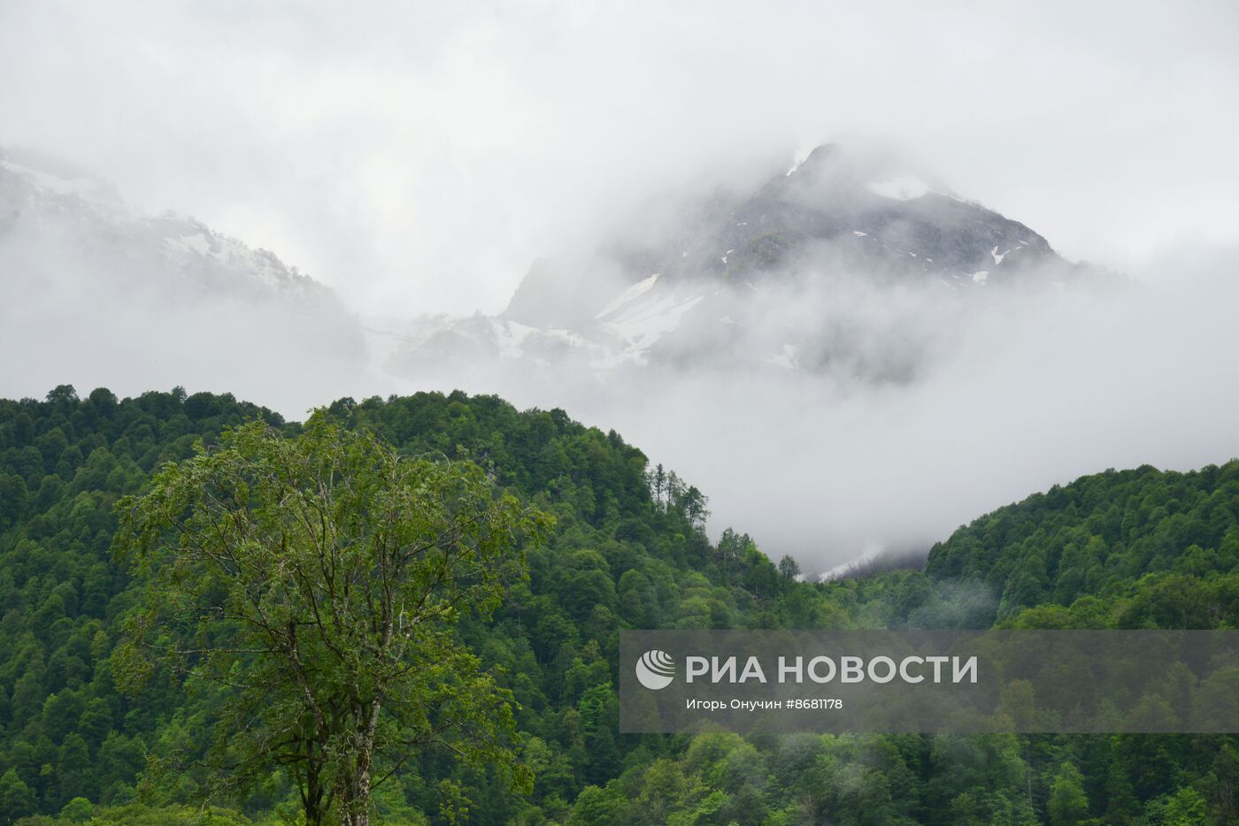 100-летие Кавказского государственного заповедника