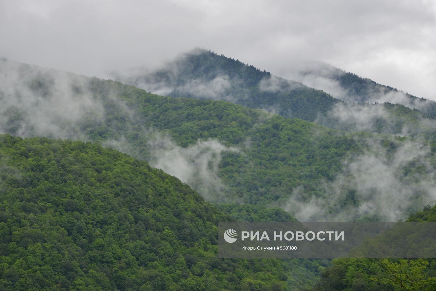 100-летие Кавказского государственного заповедника