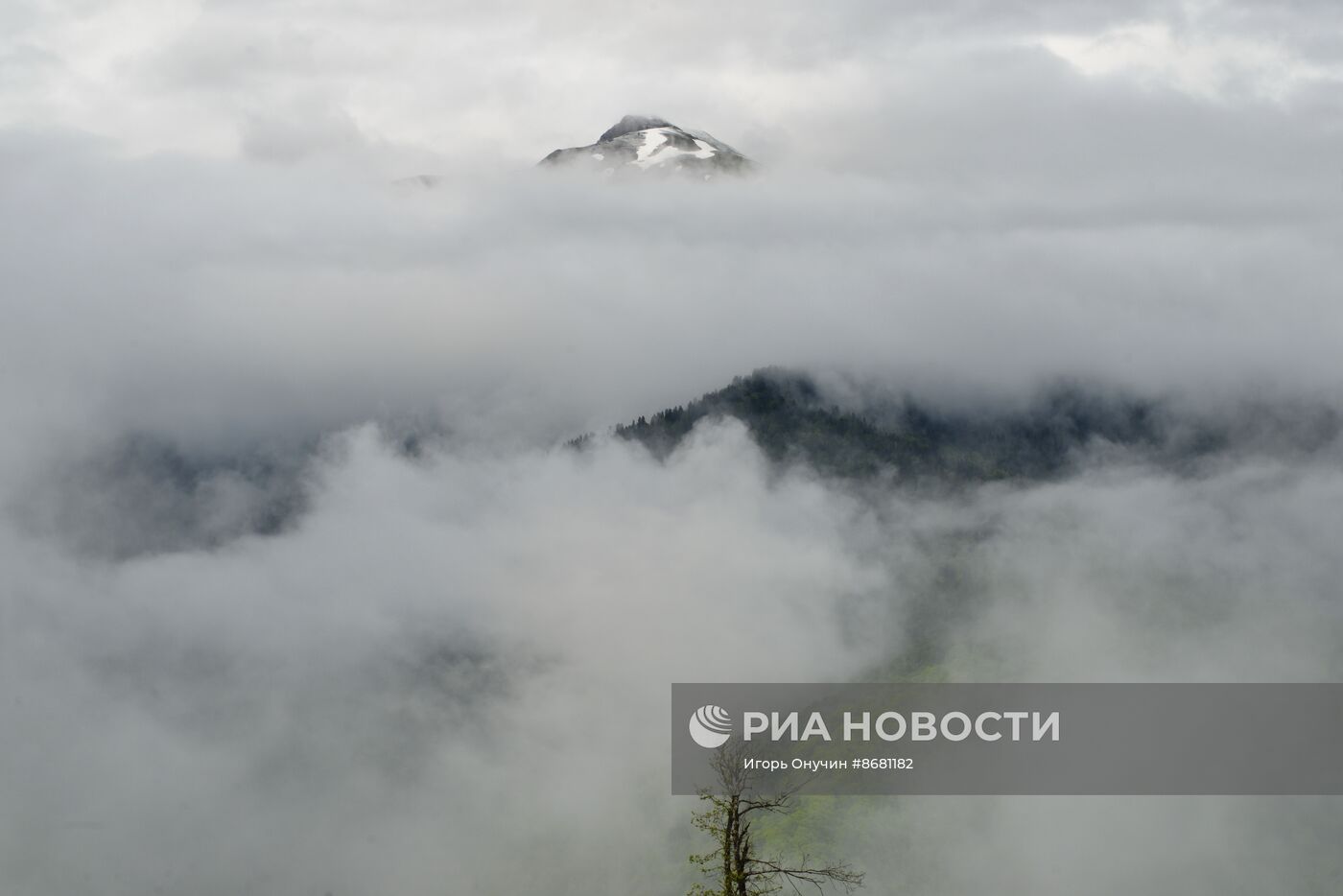 100-летие Кавказского государственного заповедника