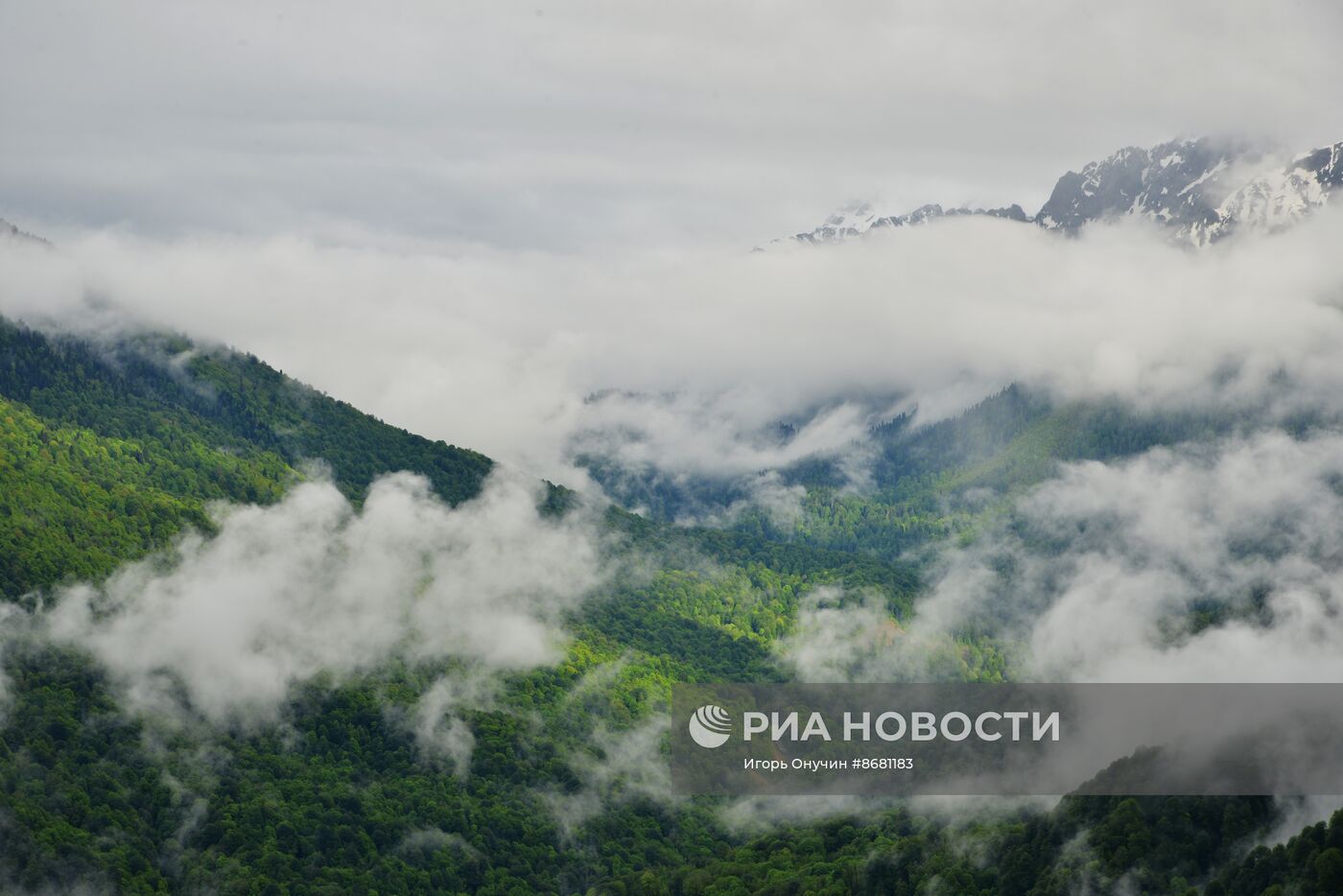 100-летие Кавказского государственного заповедника