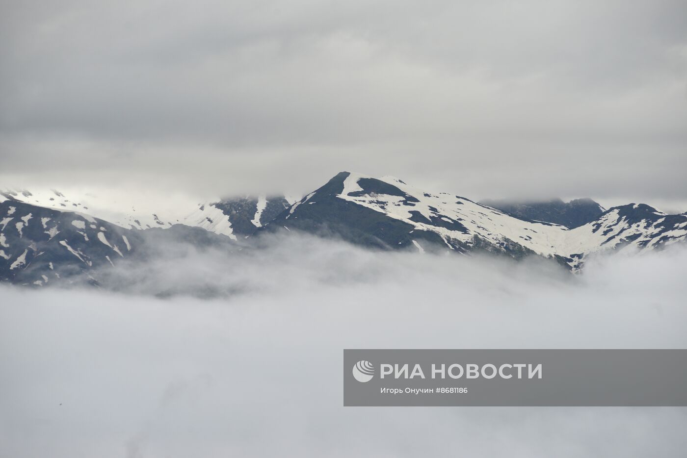 100-летие Кавказского государственного заповедника