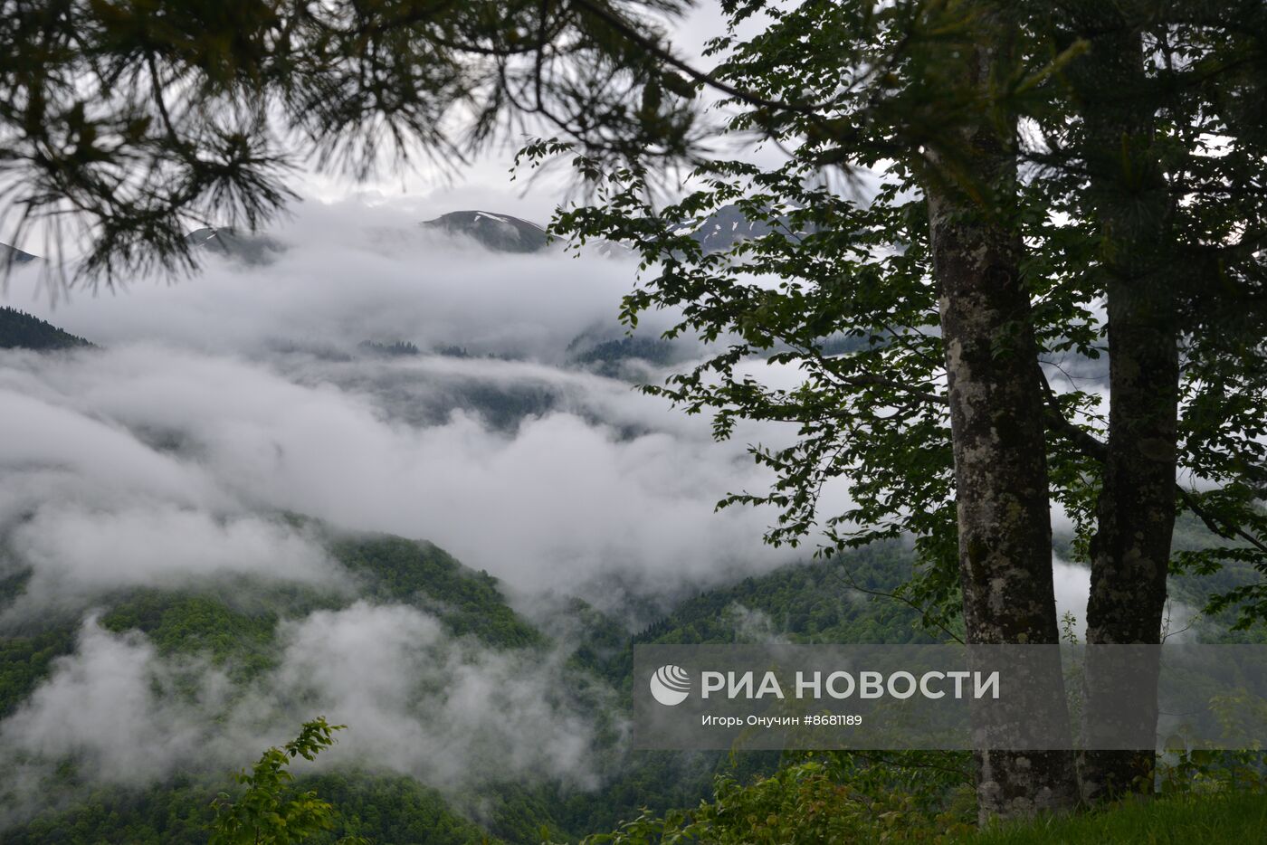 100-летие Кавказского государственного заповедника