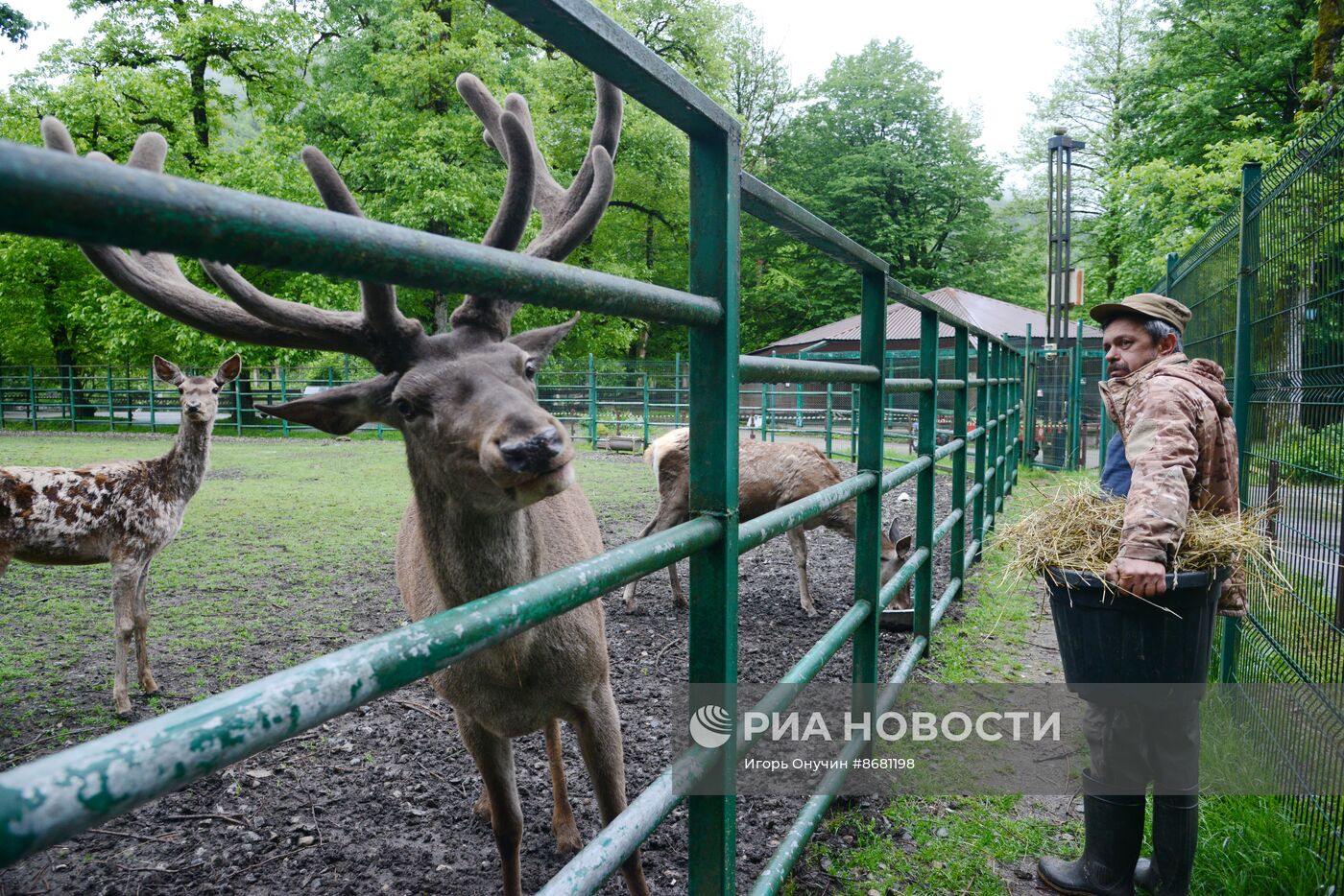 100-летие Кавказского государственного заповедника