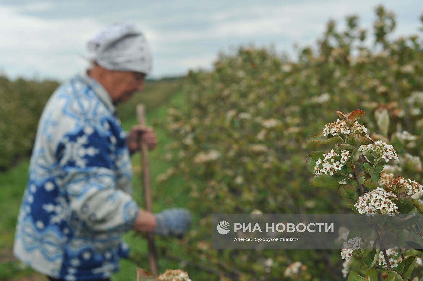 Работа предприятия 