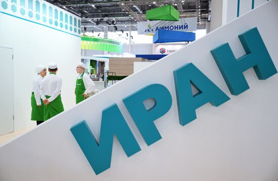 Работа форума "Россия - исламский мир: KAZANFORUM" 2024
Фото могут быть использованы на условиях, указанных в разделе медиабанка, посвященном Форуму Место: Россия, Республика Татарстан, Казань. Автор: Павел Бедняков/РИА Новости. Работа форума "Россия - исламский мир: KAZANFORUM" 2024