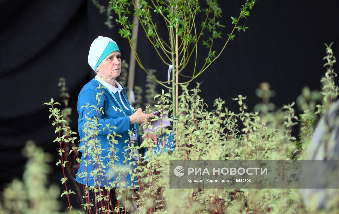 Работа форума "Россия - исламский мир: KAZANFORUM" 2024
