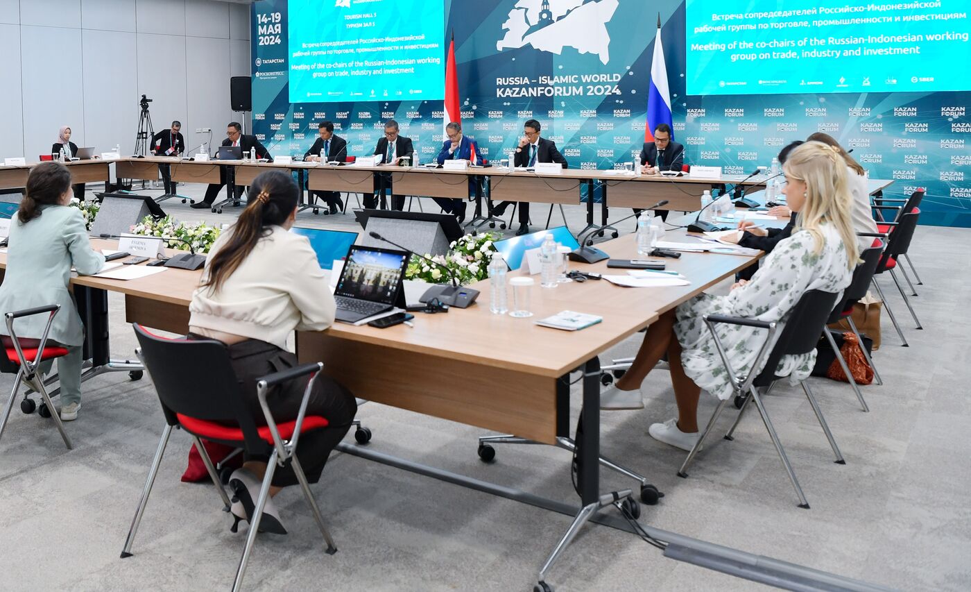 KAZANFORUM 2024. Встреча сопредседателей Российско-Индонезийской рабочей группы по торговле, промышленности и инвестициям (Минэкономразвития России)