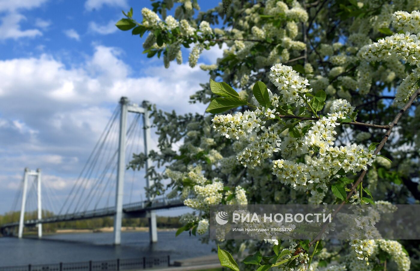 Повседневная жизнь в Красноярске