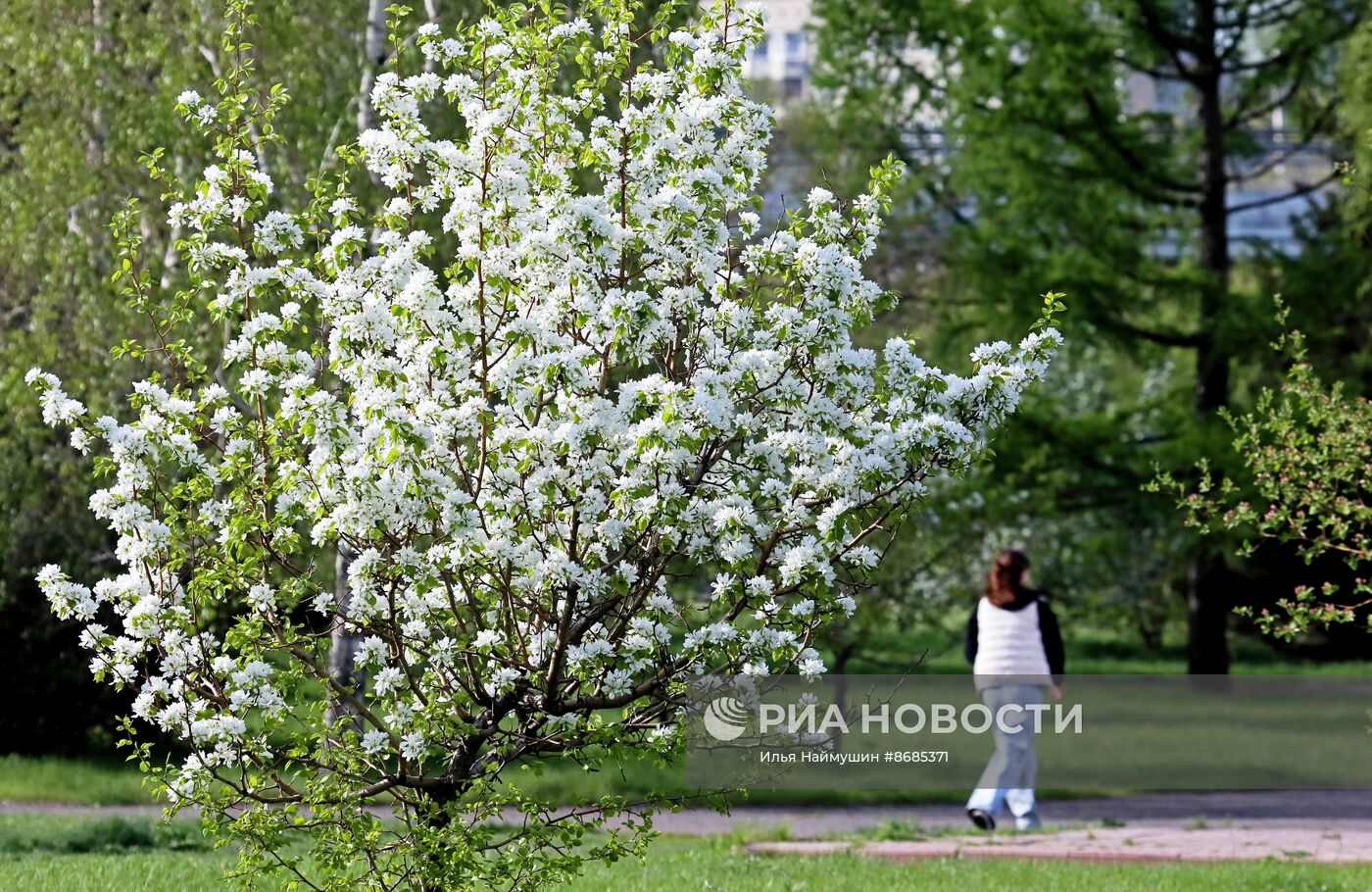 Повседневная жизнь в Красноярске