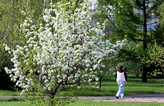 Повседневная жизнь в Красноярске