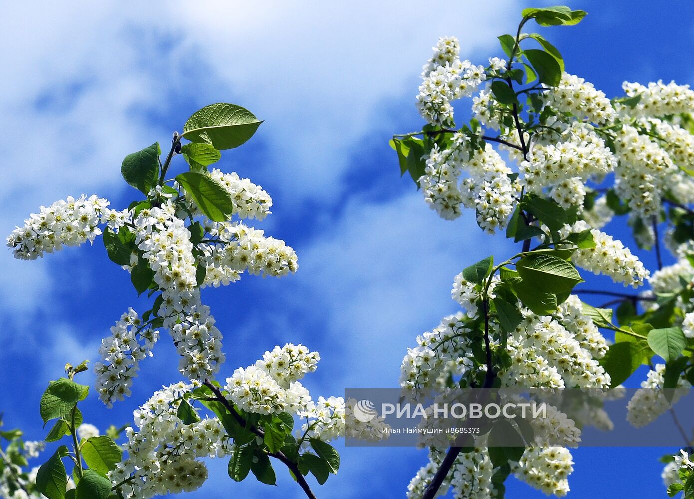 Повседневная жизнь в Красноярске