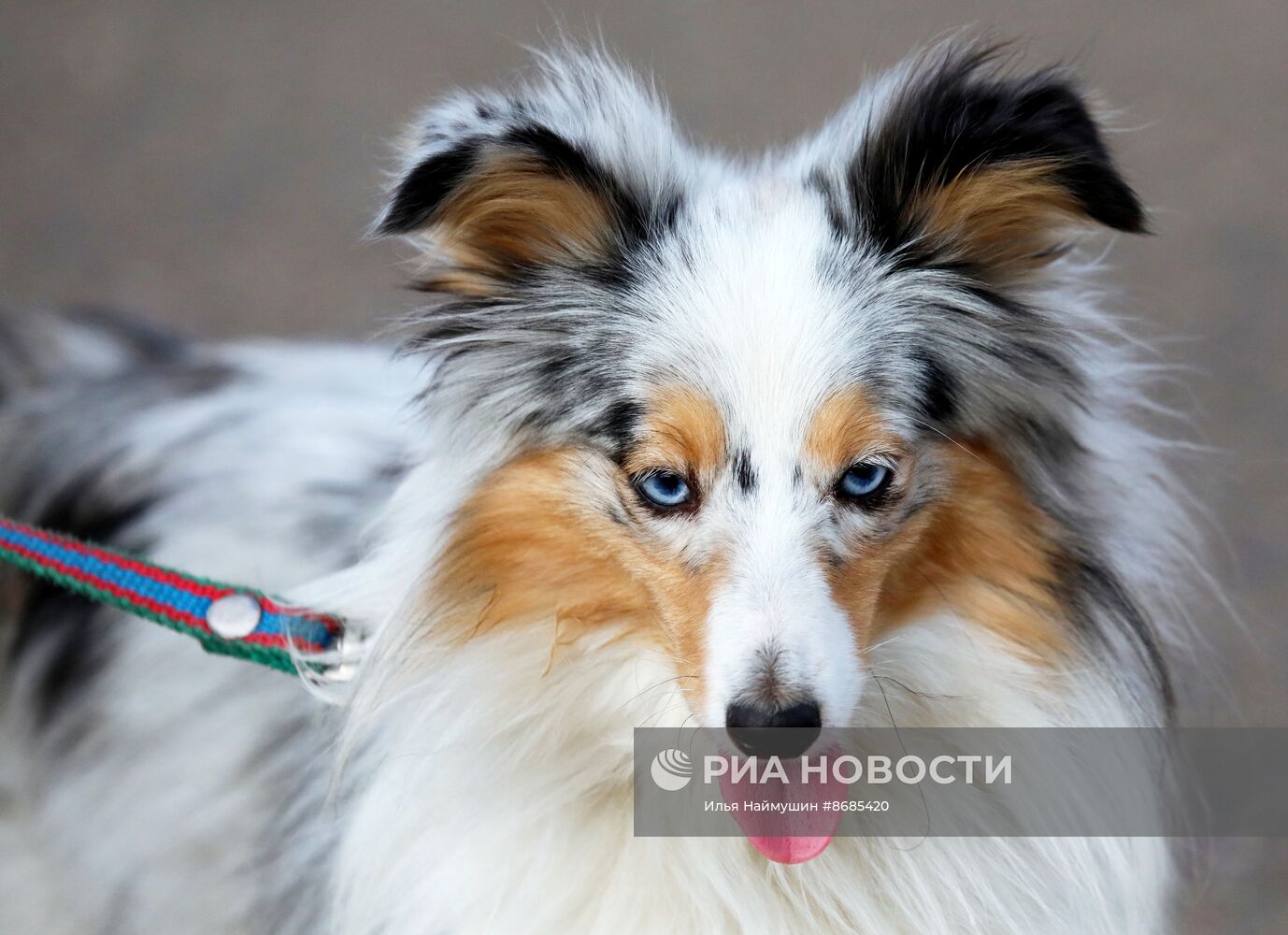 Повседневная жизнь в Красноярске