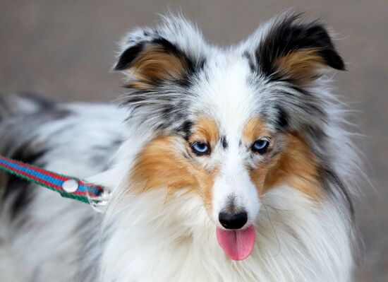 Повседневная жизнь в Красноярске