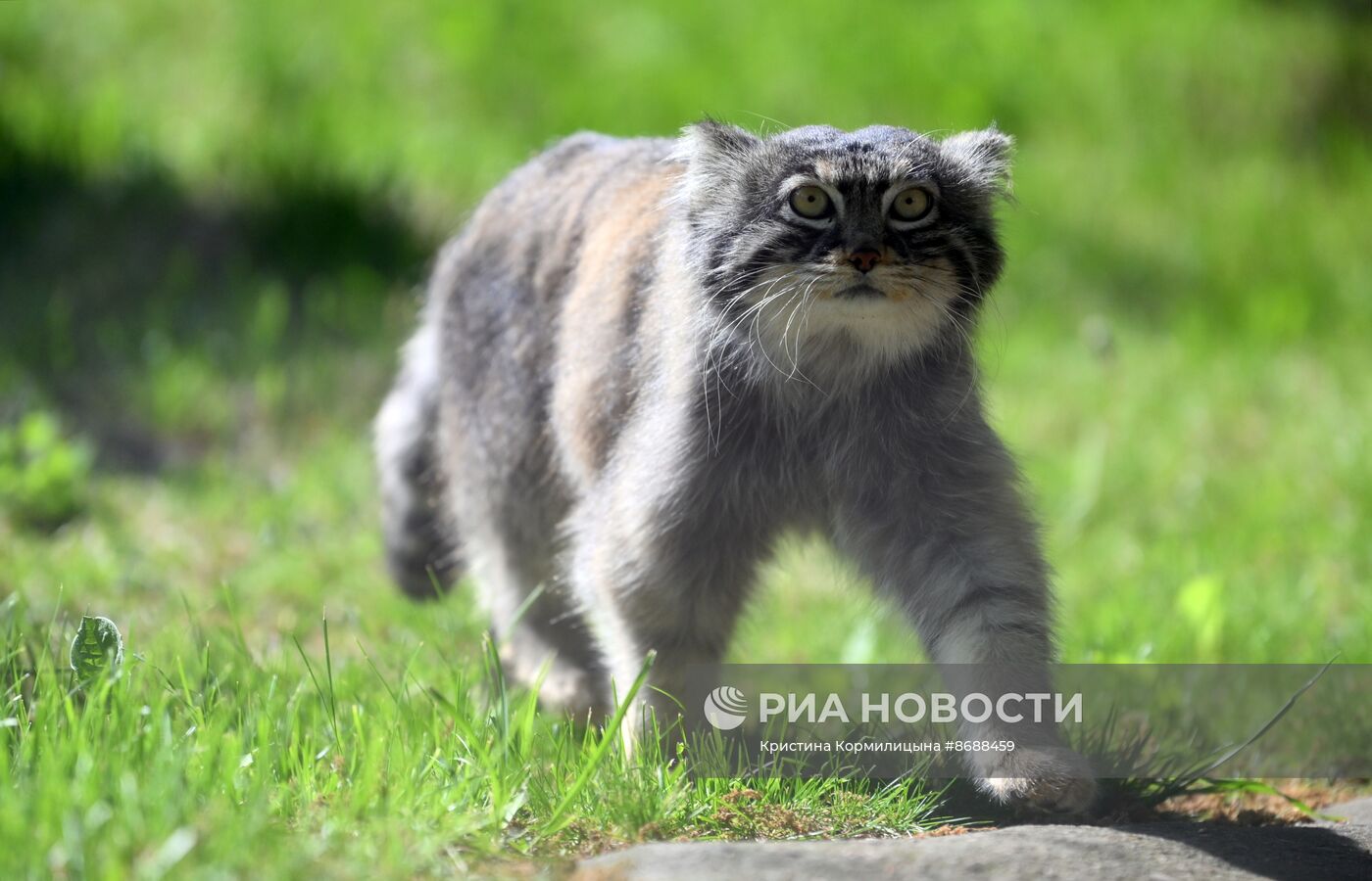 Московский зоопарк